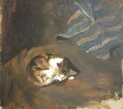 Paul Raud Sleeping cat by Paul Raud Sweden oil painting artist